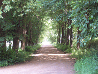 auffahrt