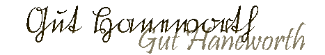 banner2